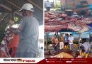Idul Adha 2025, Panitia Kurban Masjid Jami Merdeka Sukses Distribusikan 325 Kantong Daging