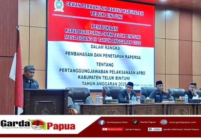 Apresiasi WTP, Pandangan Umum Fraksi PPP Juga Dorong Optimalisasi Peningkatan PAD Teluk Bintuni