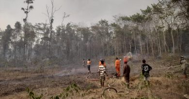 Gerak Cepat Dua Perusahaan Padamkan Kebakaran Hutan di Aroba Teluk Bintuni