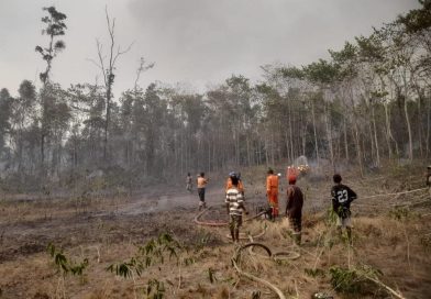 Gerak Cepat Dua Perusahaan Padamkan Kebakaran Hutan di Aroba Teluk Bintuni